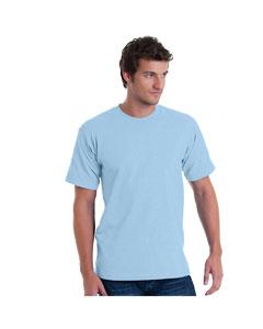 bayside_ba5040_light blue_company_logo_t-shirts